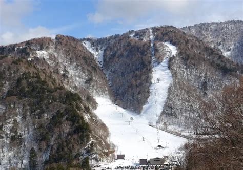 平湯温泉スキー場 - 雪と湯の融合が生む不思議な世界