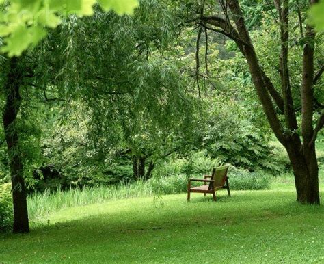 京都 人が少ない場所：静寂の中に潜む秘密