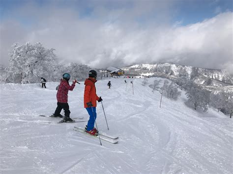 スキー ツアー 長野 - 雪の妖精が踊る冬の冒険