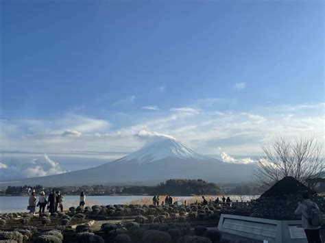 読売旅行 富山発 - 富山の魅力を再発見する旅